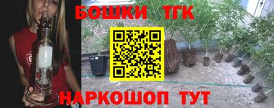 прущие грибы Анжеро-Судженск
