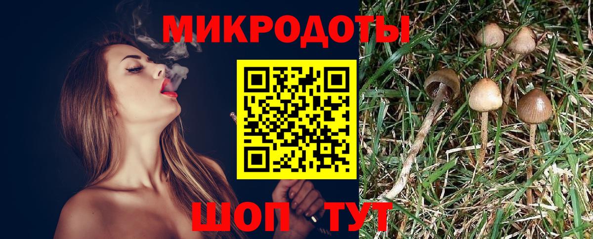 Печора  Псилоцибиновые грибы мухоморы  Галлюциногенные грибы прущие грибы  Вход с VPN 